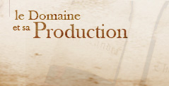 Le Domaine et sa Production