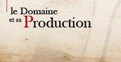 Le Domaine et sa Production